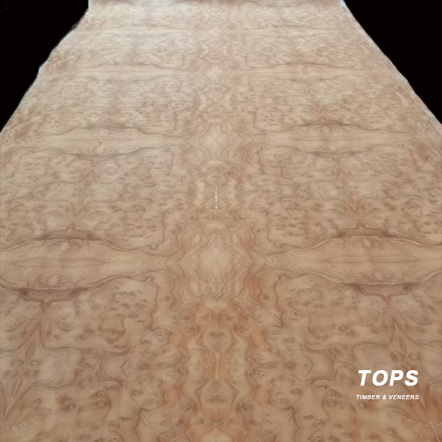 Natural Wood Veneer Burl Veneer suppliers