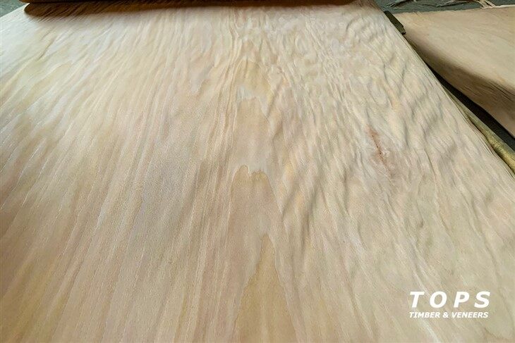 Rotary Cut Beech Veneer