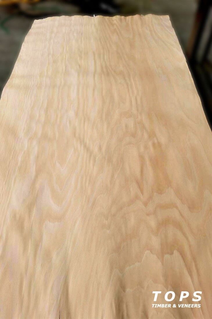 Rotary Cut Beech Veneer