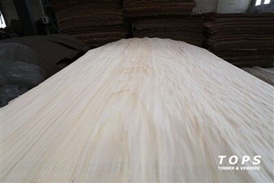 ロータリーカットブナ単板