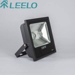 Vysoký výkon 2017 IP66 100W Led venkovní projektor světlo bydlení s objektivem