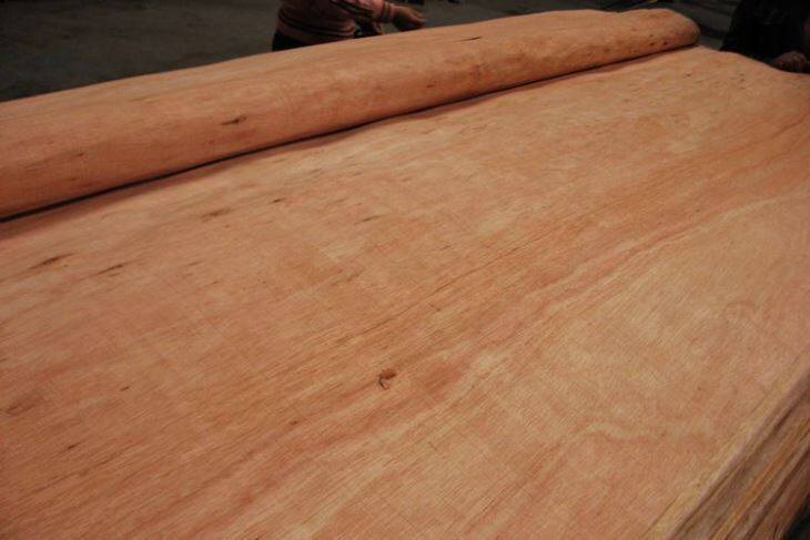 Gurjan Veneer