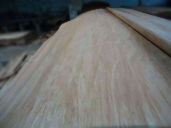 Gurjan Veneer