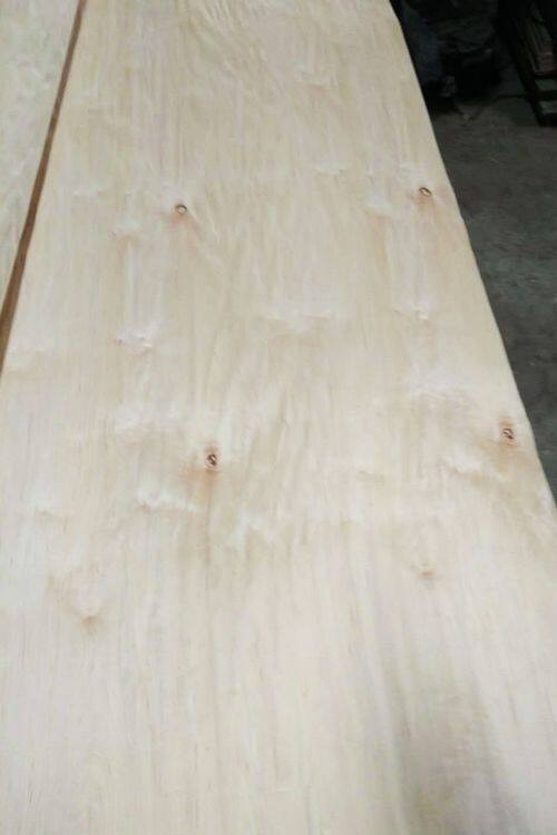 Rotary Cut Maple Veneer