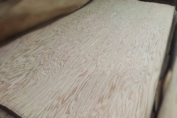 Veneer gỗ sồi cắt quay
