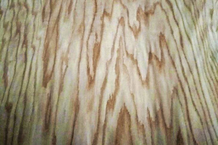 Rotary Cut Oak Veneer