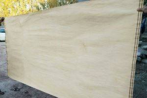 Rotary Cut Maple Veneer