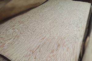 Chapa de roble cortada a máquina