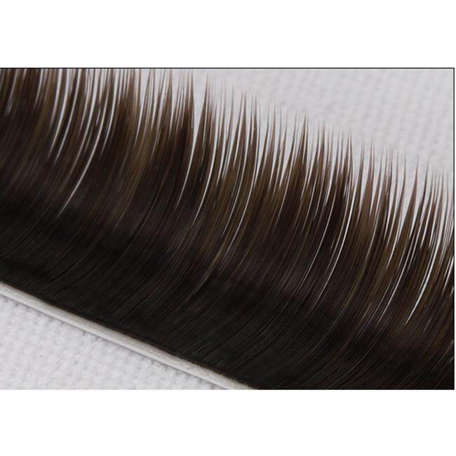 ব্রাউন প্রাকৃতিক ব্যক্তিগত লেশস খুঁজছেন