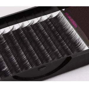 সহজে পোকা কৃত্রিম ল্যাশ এক্সটেনশান