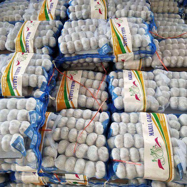 10kg Carton Pure White Garlic