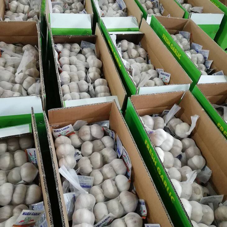 3P Normal White Garlic