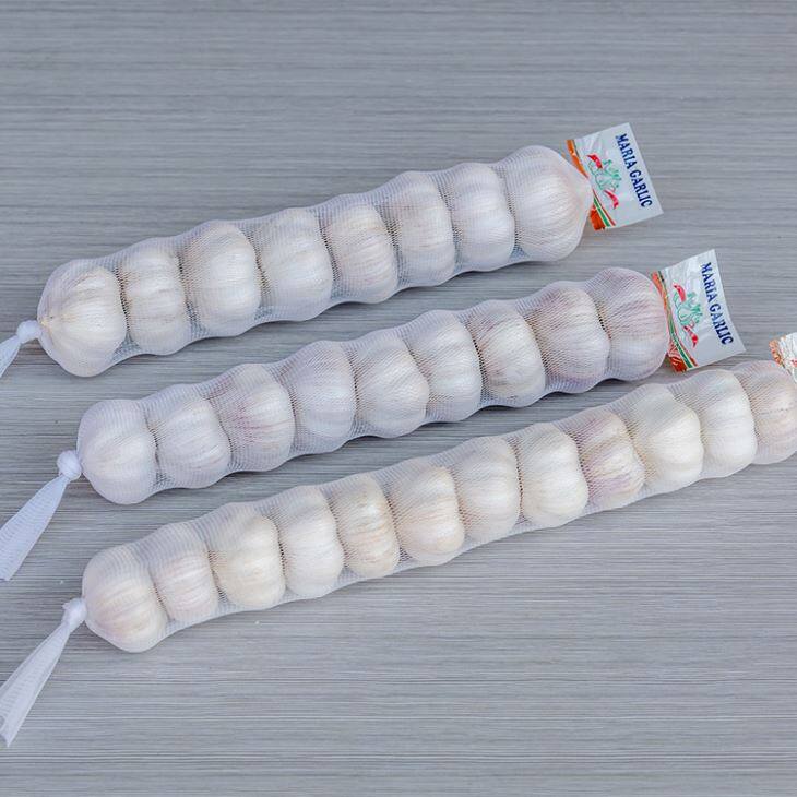 500g Normal White Garlic