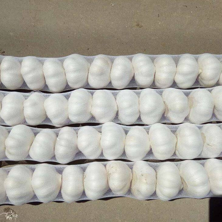 500g Pure White Garlic