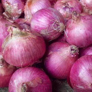 Fresh Purple Onion