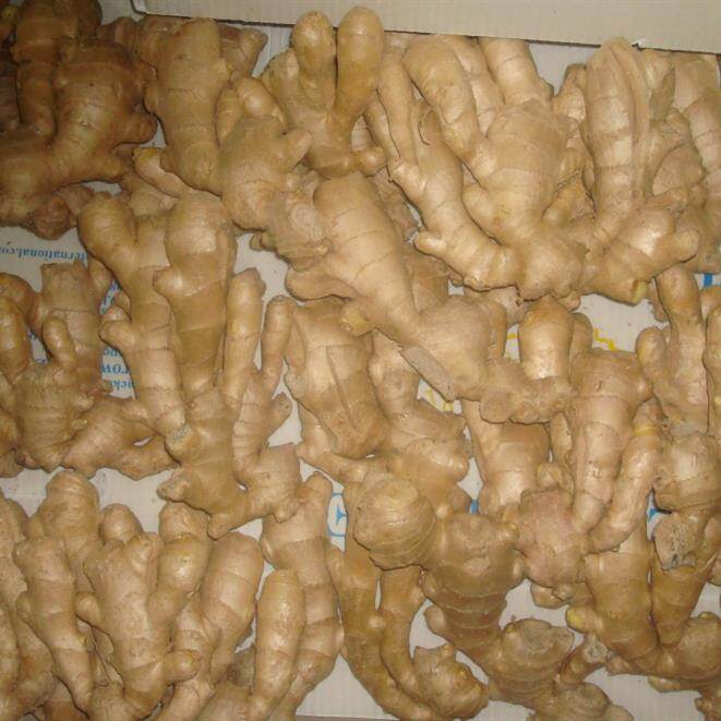 Air Dried Ginger