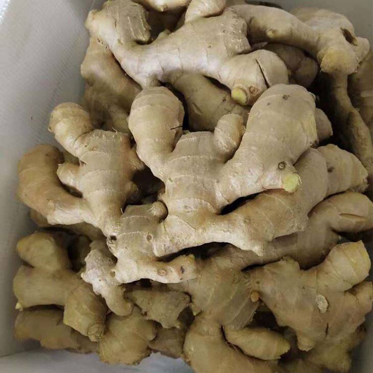 Air Dry Ginger