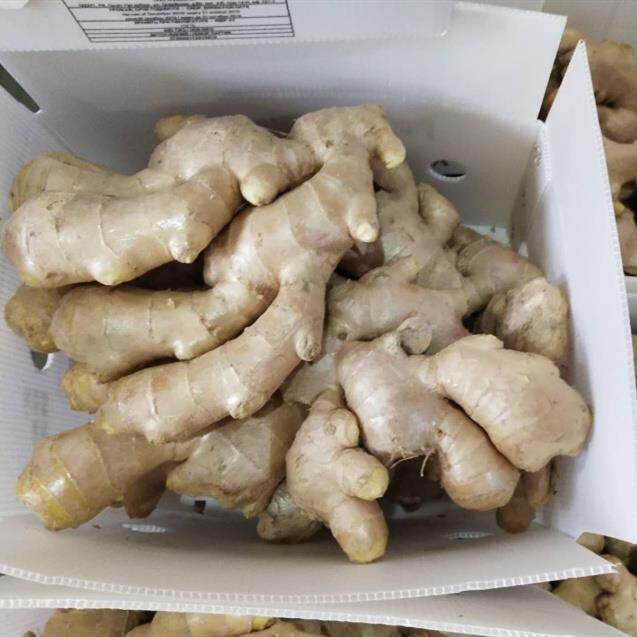 Air Dry Ginger