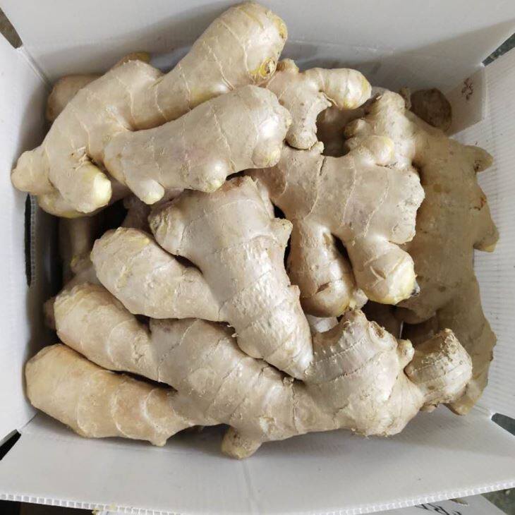 Air Dry Ginger