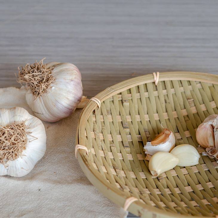 Bearded Garlic