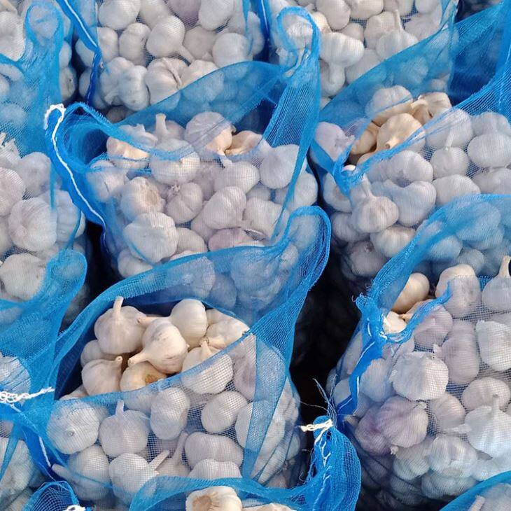 Big Package Normal White Garlic