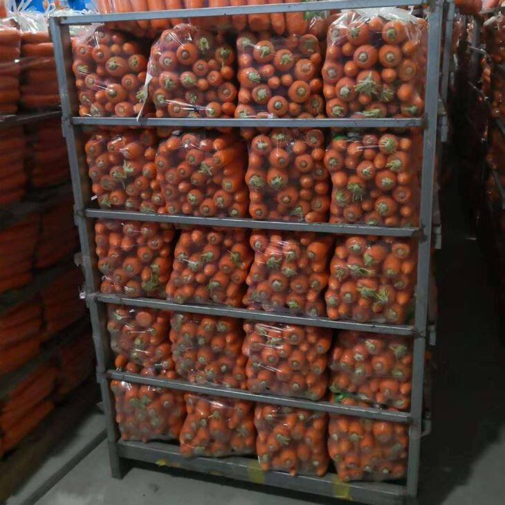 بلک گاجر