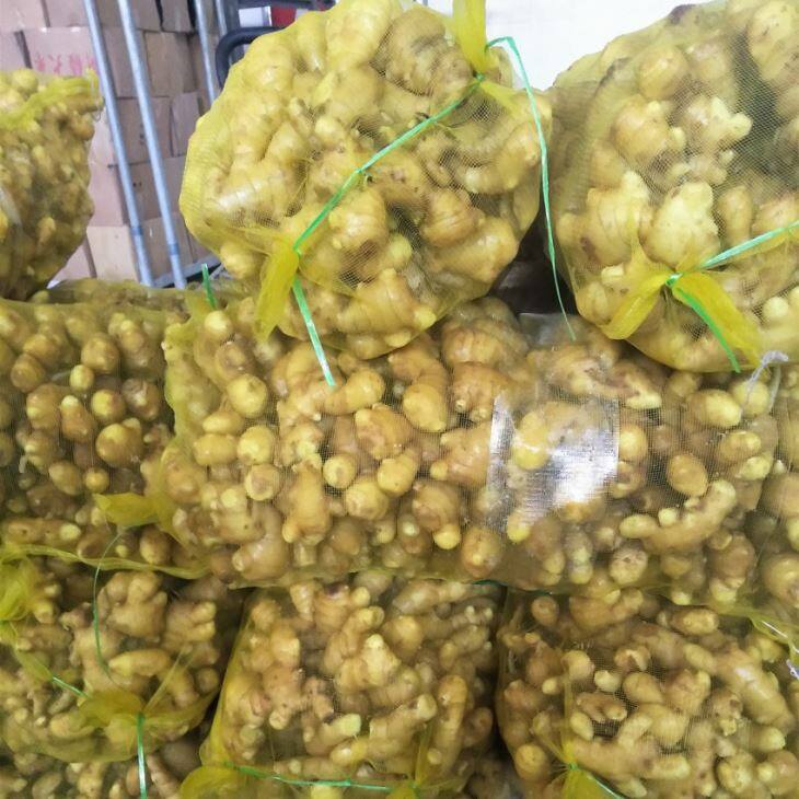 mesh bag fresh ginger