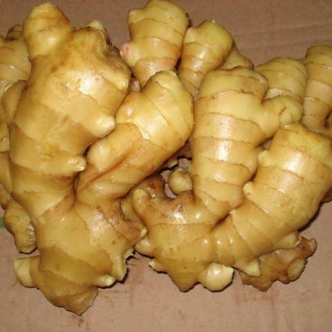 Bulk Fresh Ginger
