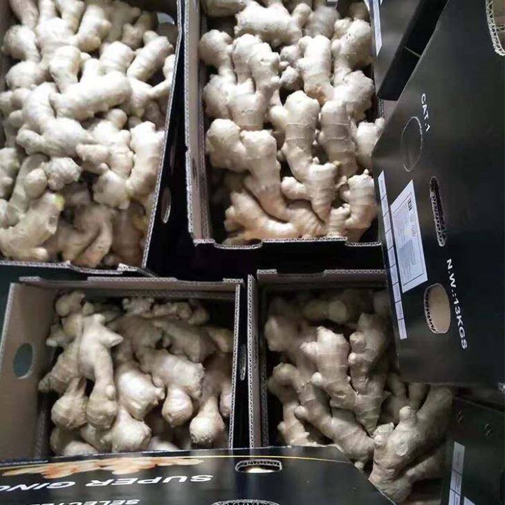 Carton Packed Fresh Ginger