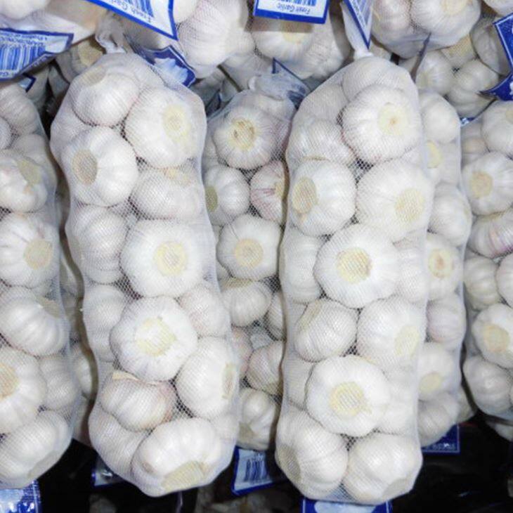Cold Storage Normal White Garlic