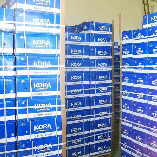 Cold Storage Normal White Garlic