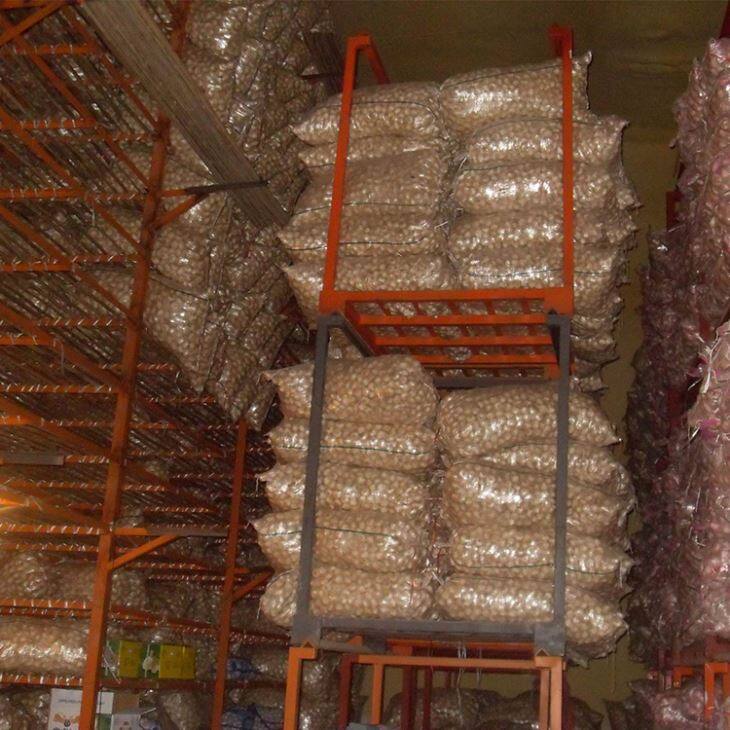 Cold Storage Pure White Garlic