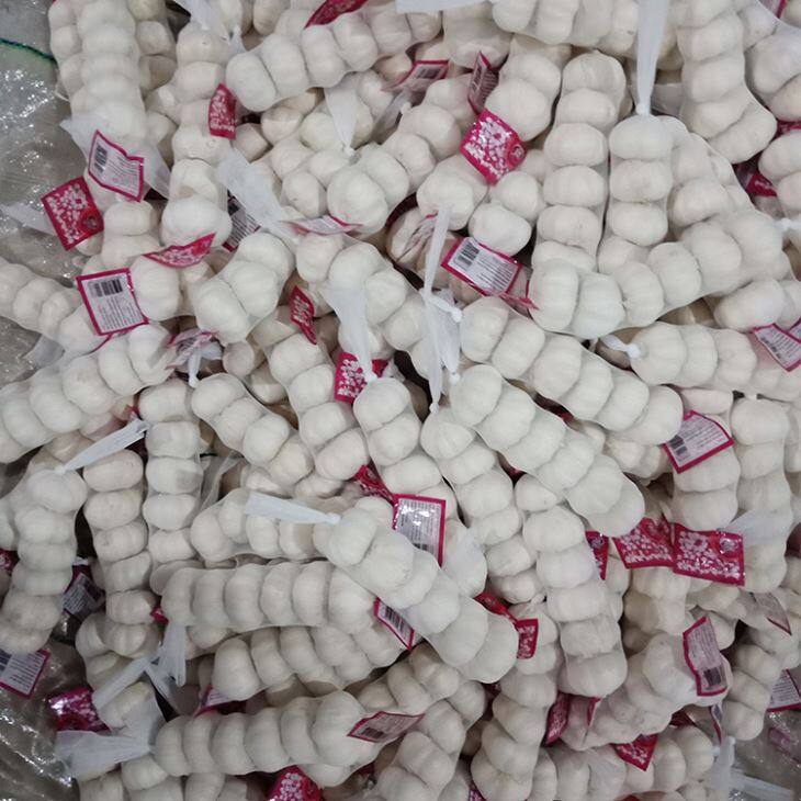 Cold Storage Pure White Garlic