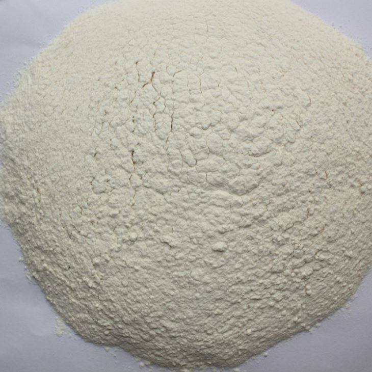 Dehydrated Garlic Powder