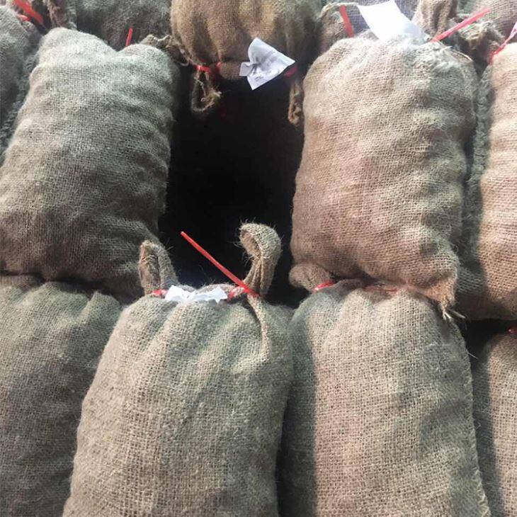 Fresh Chinese Chestnut