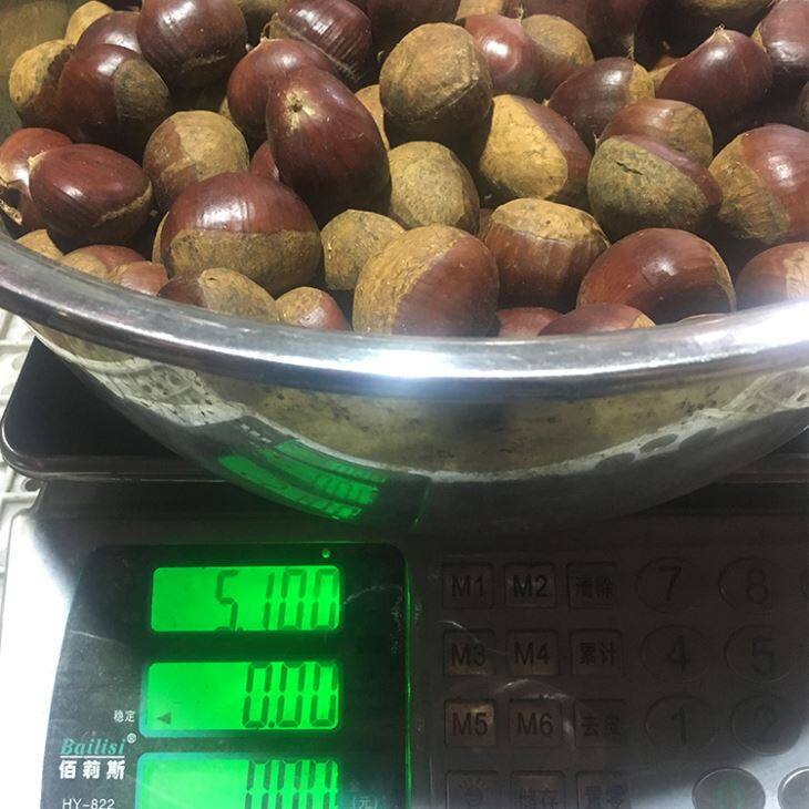 Fresh Chinese Chestnut