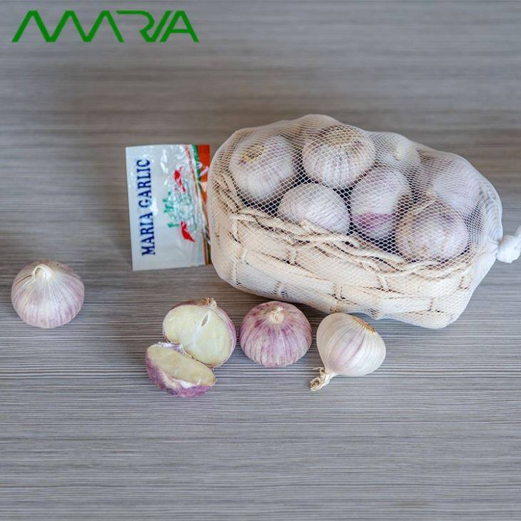Fresh Garlic 2019