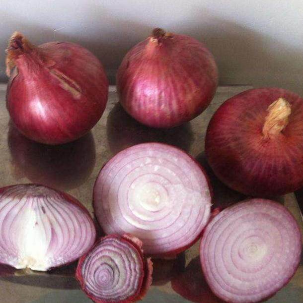 Fresh Red Onion