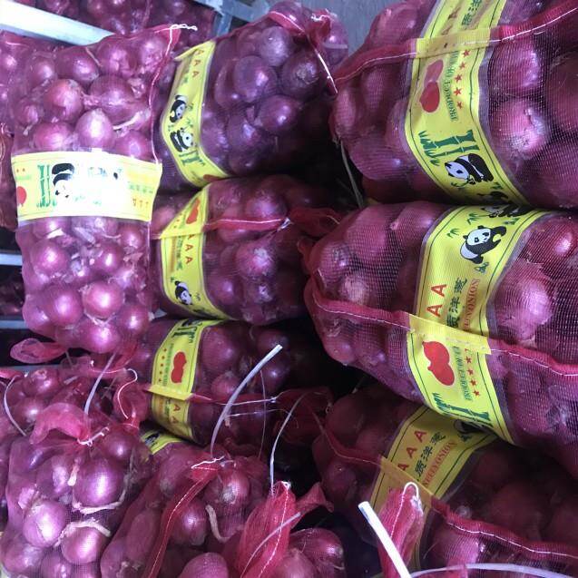 Fresh Red Onion