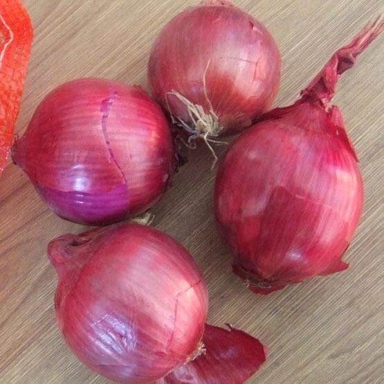 Fresh Red Onion