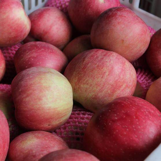 Fresh Red Star Apple