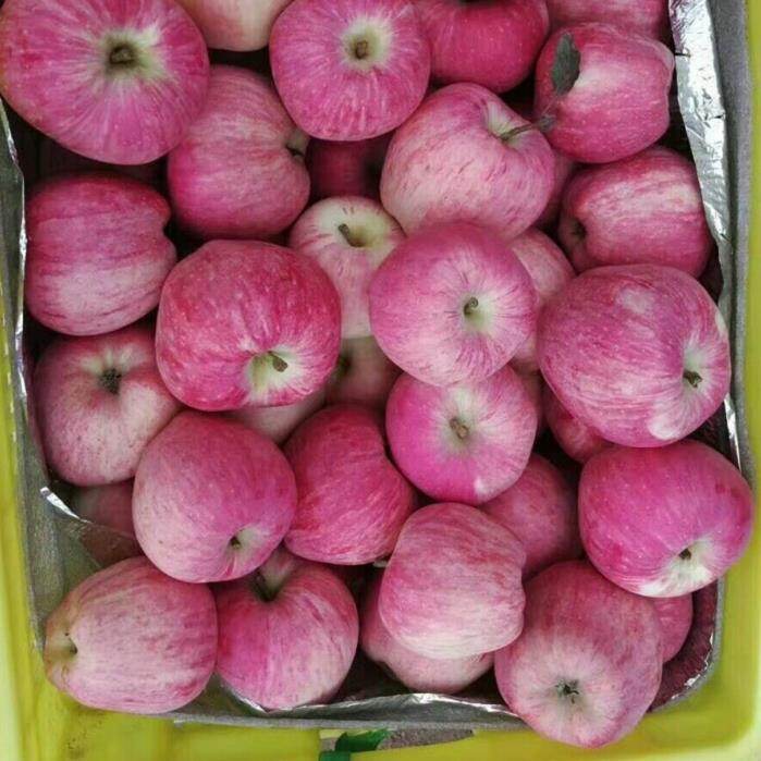 Fresh Red Star Apple