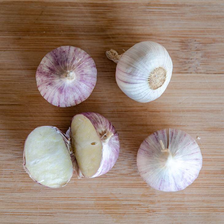 Fresh Solo Garlic