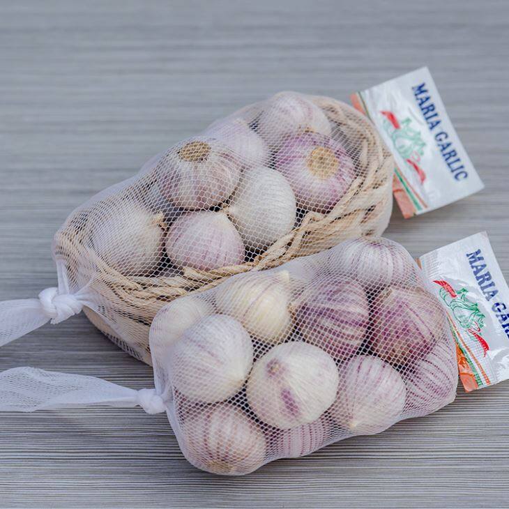 Fresh Solo Garlic