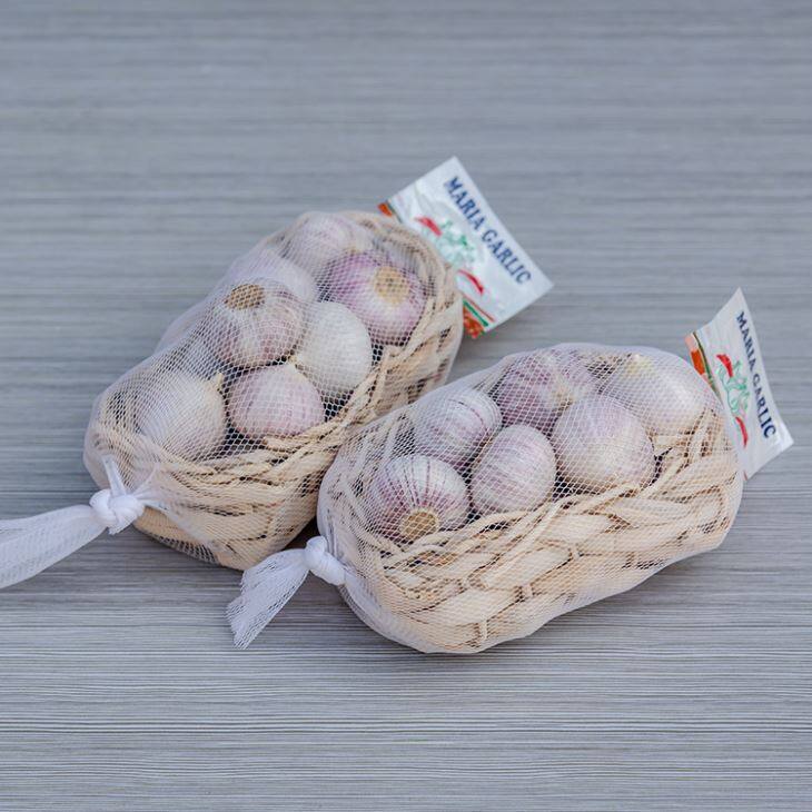Fresh Solo Garlic