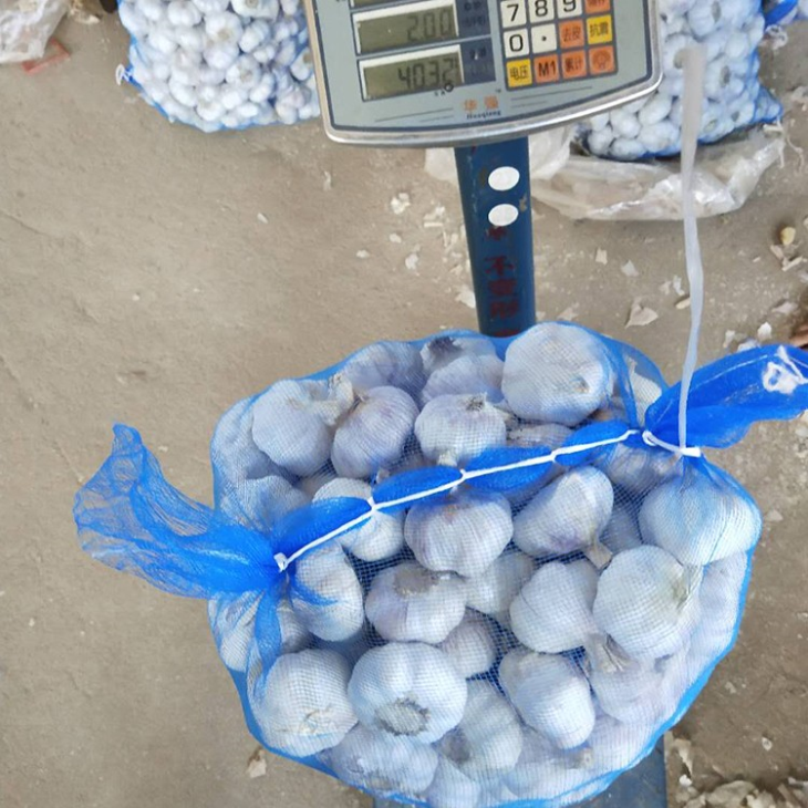 Fresh White Garlic 5.0