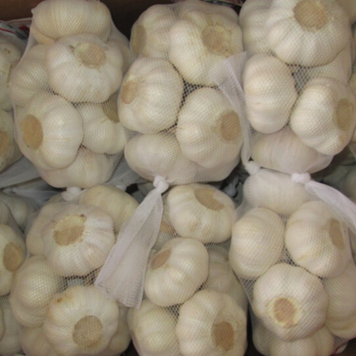 Fresh White Garlic 5.0