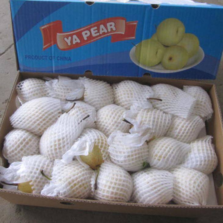 Fresh Ya Pear
