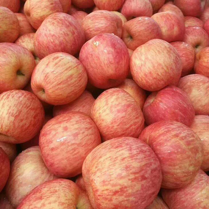 Fuji Pomes