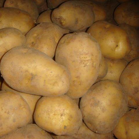 Holland Potatoes